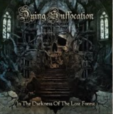 DYING SUFFOCATION - In The Darkness Of The Lost Forest