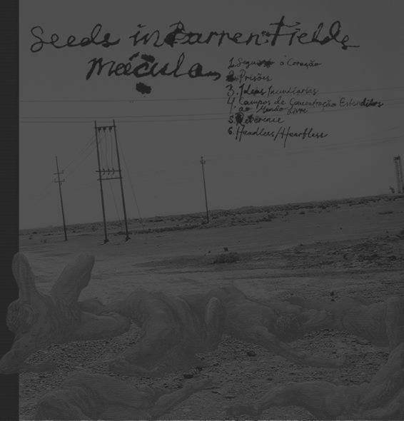 Mácula/Seeds in Barren Fields - split